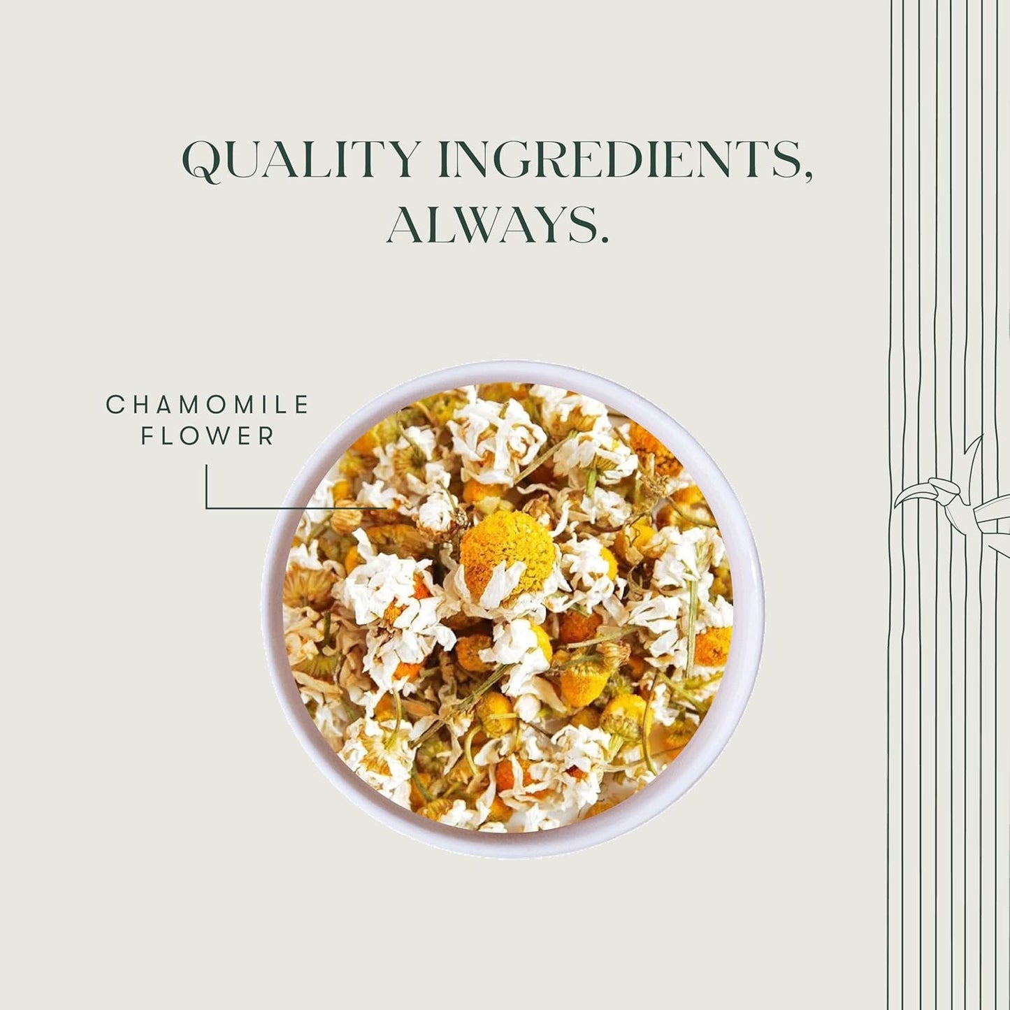 Chamomile Herbal Tea | 100 Gm Loose Tea | Organic Herbal Tea