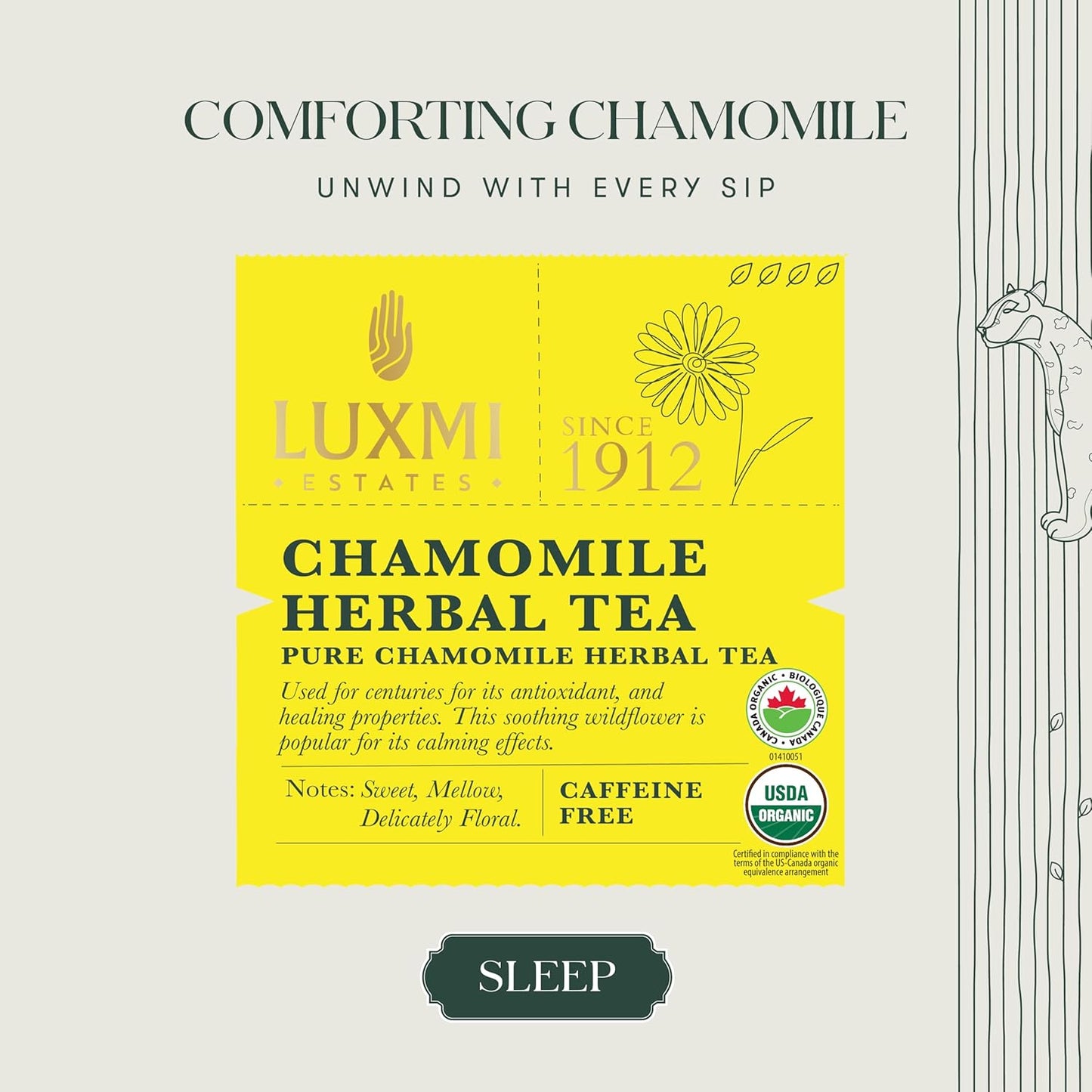 Chamomile Herbal Tea | 50 Tea Bags | Organic Herbal Tea