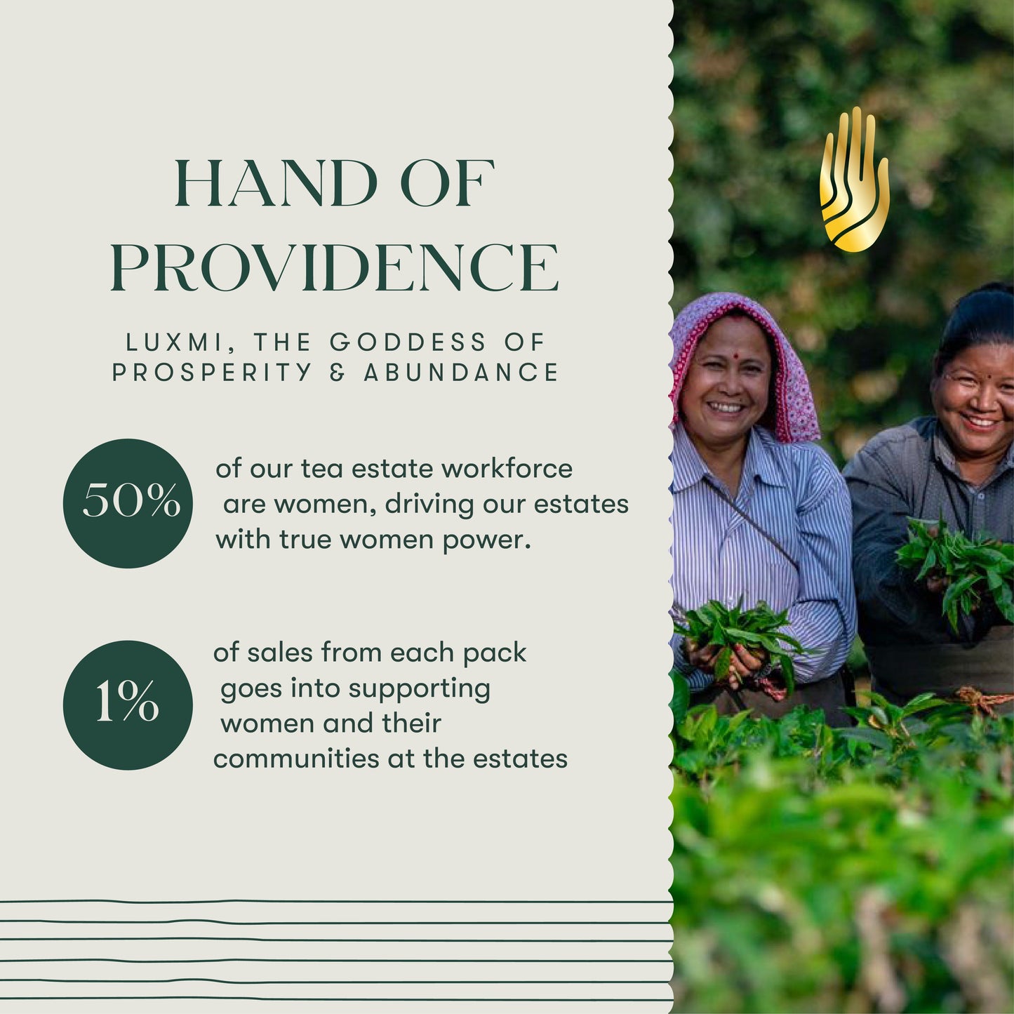 Chamomile Tea | 25gm | Organic Herbal Tea